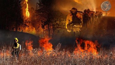 Kebakaran-Hutan-California-Marak-Dua-Kali-Ganda-390x220.jpeg